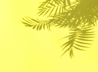 Shadow palm leaves yellow background Floral border