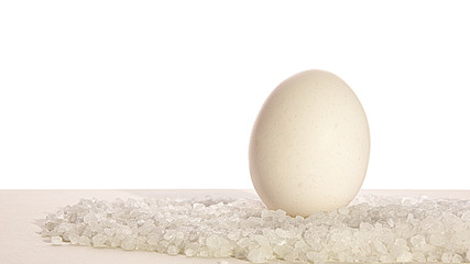 White egg isolated on a white background.