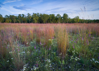 An autumn sunset over a rare dolomite prairie environment.