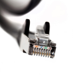 Black ethernet patch cable end connector plug macro, closeup. Rj 45, 8p8c, simple internet connection hardware, data transfer abstract concept. White background, individual wires visible