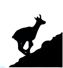 Black silhouette of chamois, jumping up the hill. Isolated on white background. Vector illustration.