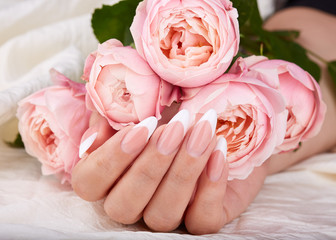 Hand with long artificial french manicured nails holding pink rose flowers