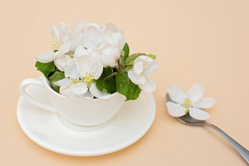 Fototapeta na wymiar White spring apple blossoms blooming flowers in a coffee cup with a spoon on a beige background. Spring summer concept. Greeting card.