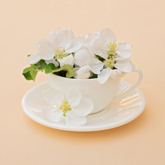 Naklejka na ściany i meble White spring apple tree blooming flowers in a coffee cup on a beige background. Spring summer concept. Greeting card.