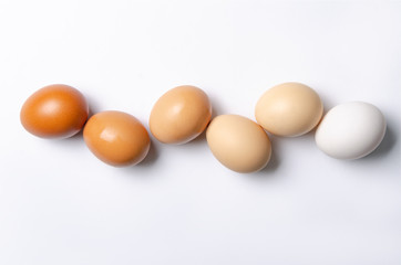 colored eggs on white ground