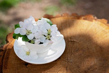 White spring apple blossoms blooming flowers in a coffee cup on a natural wooden background. Spring summer concept. Copy space.