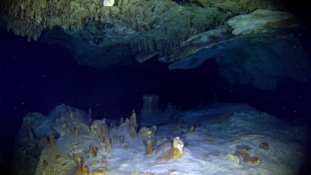dive into the cenotes, Yucatan, Mexique.