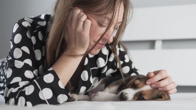Beautiful woman with puppy beagle in the morning in bed. 