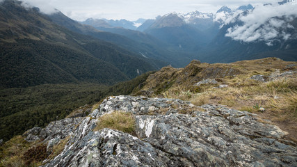 View on alpine valley (with mountains in backdrop) filled with dense woods. Shot on Routeburn Track, New Zealand