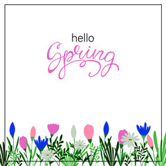 spring background with flowers