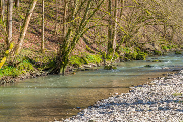 small river at spring time