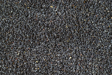 Black poppyseed texture in top view. Poppy pattern seeds. Pile food dark background. Healthy breakfast or morning snack diet eating concept.
