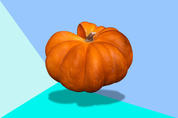 Zucca gigante su sfondo grafico celeste ed azzurro 