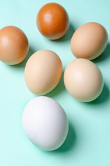 colorful eggs on green ground