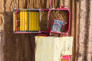 Large Potato Harvester pulled by a Tractor processing a filed, with ripe Potatoes dropping from picking table and conveyor belt into a storage bucket, Aerial view.