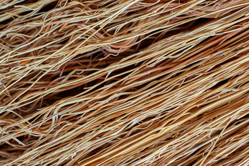 Broom close up