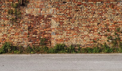 Door walled up  with bricks in a weathered old brick wall with grass on its surface. Asphalt road in front