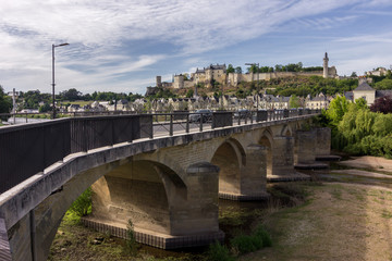 Naklejka premium View of Loire valley in France