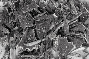 close up of black and white bark