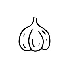 Hand drawn vegetable garlic icon isolated on white background. Concept for farmers market, organic food, grocery store, cafe, restaurant, food. Natural product, vegetarian, fresh, natural, design.