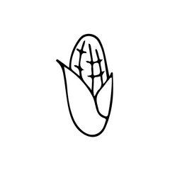 Hand drawn vegetable corn icon isolated on white background. Concept for farmers market, organic food, grocery store, cafe, restaurant, food. Natural product, vegetarian, fresh, natural, design.