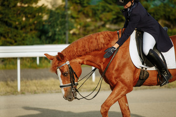 Young woman in special uniform and helmet riding horse. Equestrian sport - dressage.