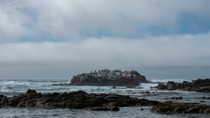 Island of birds in the sea, california
