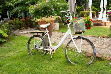 Old and damaged bicycle exterior decoration furniture of garden outdoor for travelers travel visit and relax rest at resort hotel in Ratchaburi, Thailand