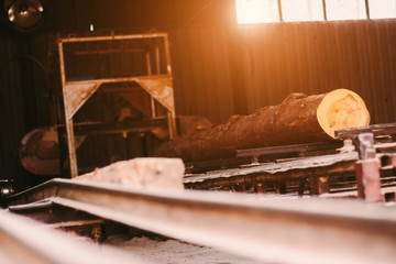 Fresh cut pine tree log processing on sawing machine at timber production mill. Wooden material processing and cutting at wood manufacturing factory. Sawing fresh tree trunk on power cutting machine