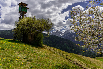 Fototapeta na wymiar Odle of Funes in Southtirol in Italy by zippl