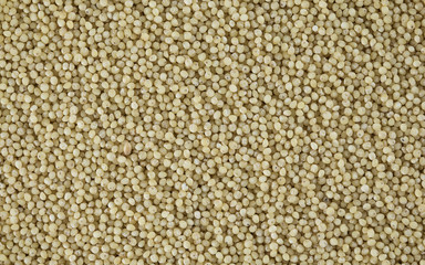 Pile of dried mustard seeds.