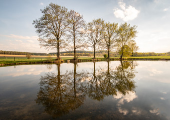 Fototapeta na wymiar clear pond in germany, mirrored trees