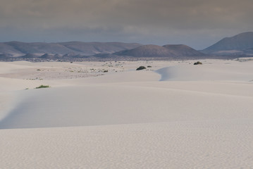 sunset desert of Fuerteventura canary archipelago