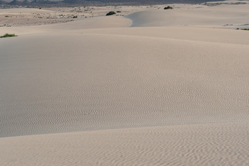 sunset desert of Fuerteventura canary archipelago
