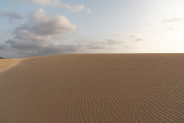 dunes in the Sand desert at sunset