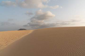 dunes in the Sand desert at sunset