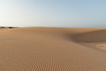 dunes in the Sand desert at sunset