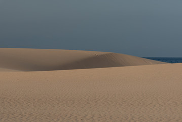 dunes in the Sand desert at sunset