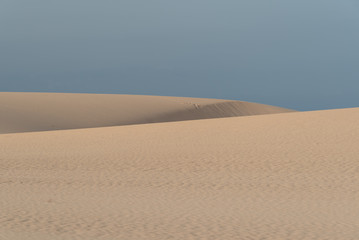 dunes in the Sand desert at sunset