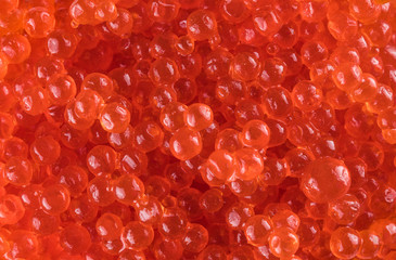 Red caviar. Salmon caviar close up.