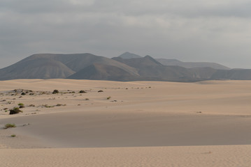 Deserted beach of Fuerteventura Canary Island