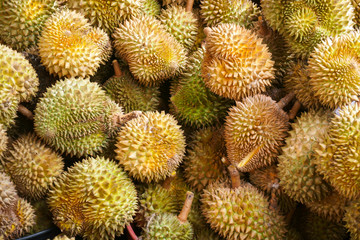 Durian in the market.Taste of durian fruit buffet festival