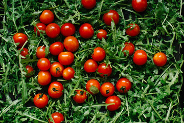 fresh small tomatoes on fresh arugula leaves