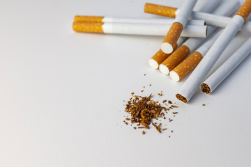 Tobacco. Cigarettes on a white background, top view