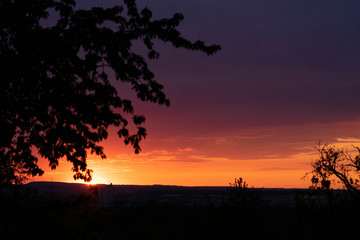 Sonnenuntergang mit einem Baum auf der linken Seite