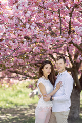 Fototapeta premium guy with a girl in sakura romance and love