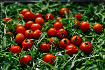 fresh small tomatoes on fresh arugula leaves