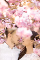 Obraz premium guy with a girl in sakura romance and love