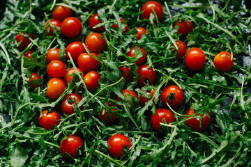 fresh small tomatoes on fresh arugula leaves
