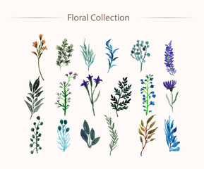 pretty floral watercolor collection